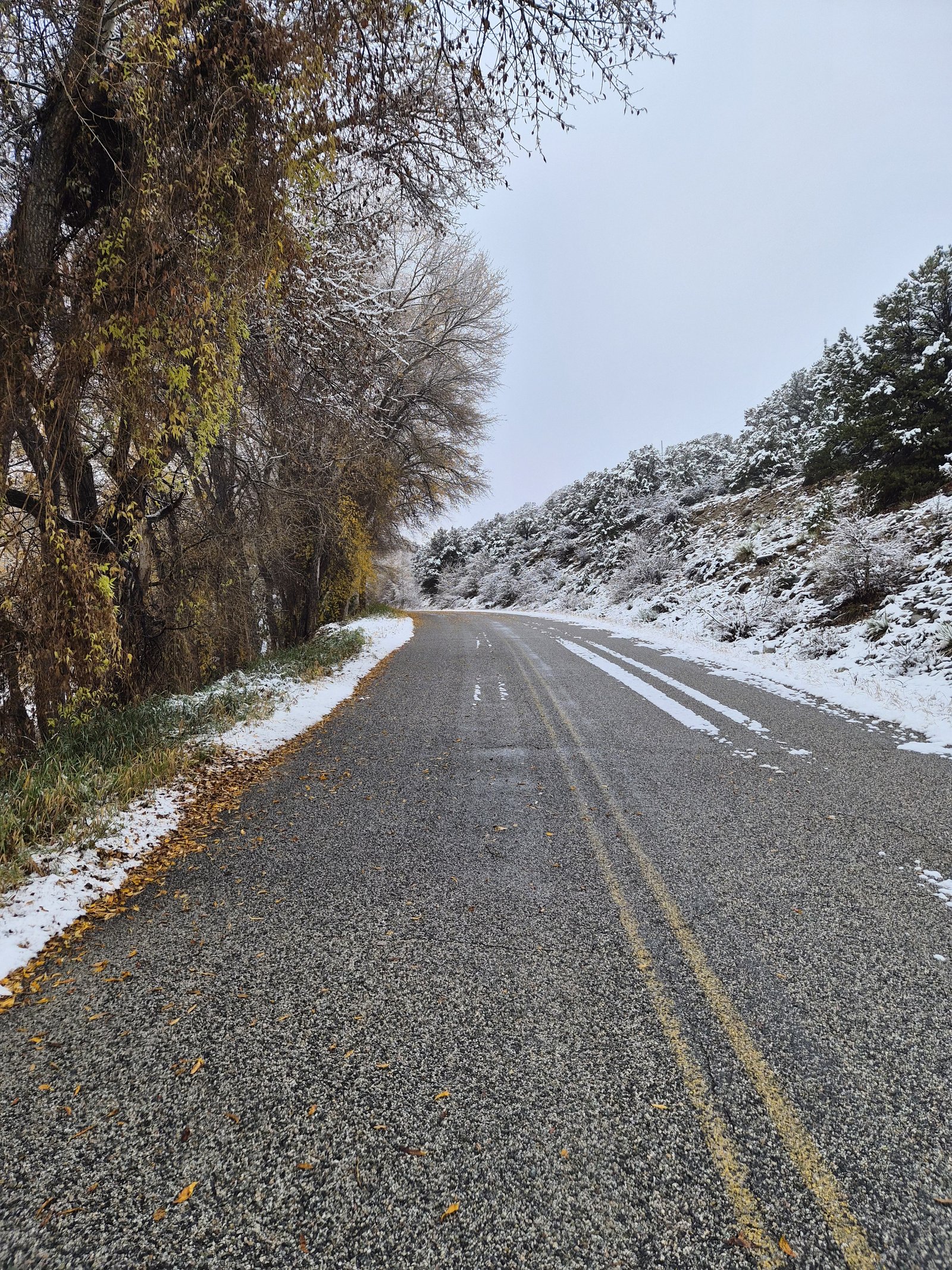 Monarch Pass in the morning
