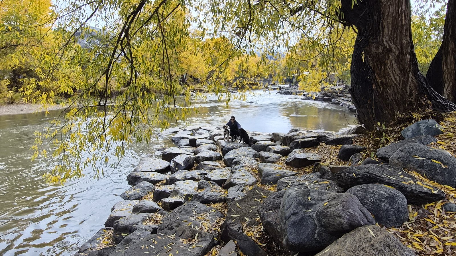Rocks along the river