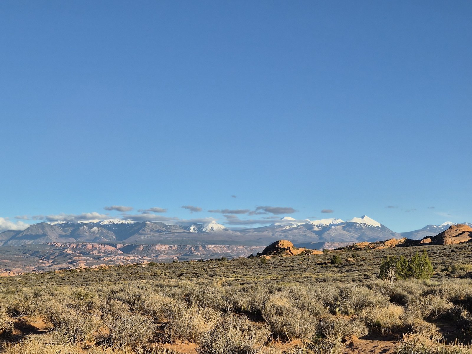 Snow-capped La Sal Mountains in evening light